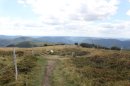 Du Col de l'Etang au Rainkopf